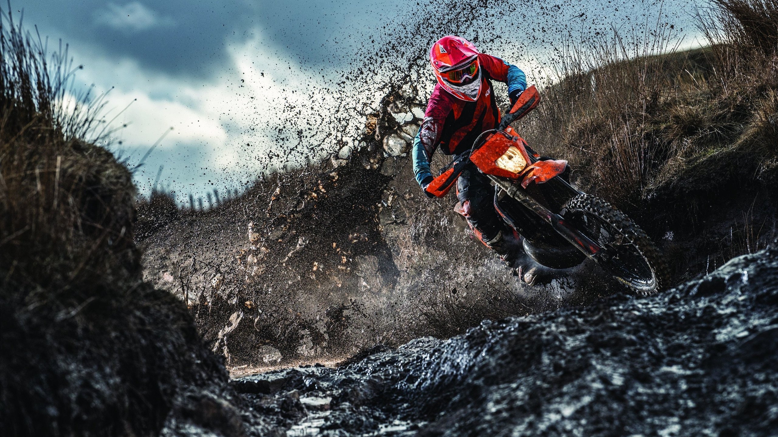 “内线王者：篮下最具统治力的球员”